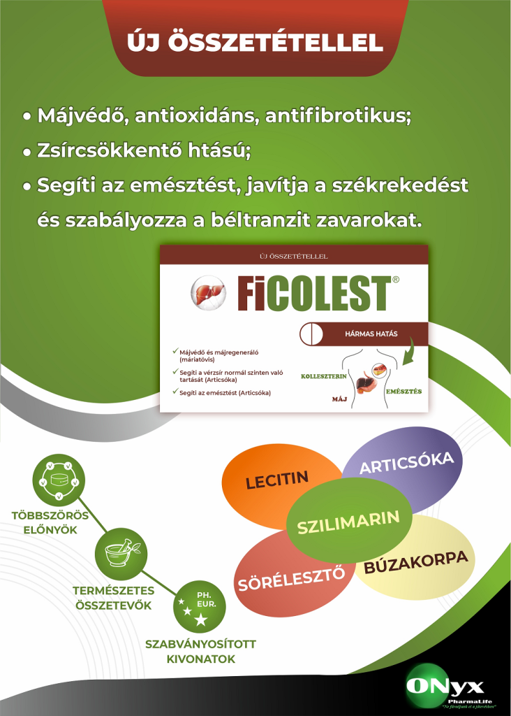 Flyer Ficolest
