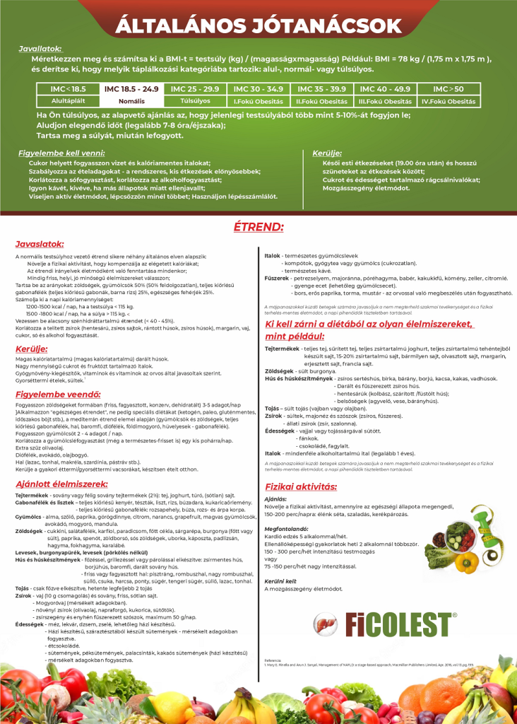 Flyer Ficolest