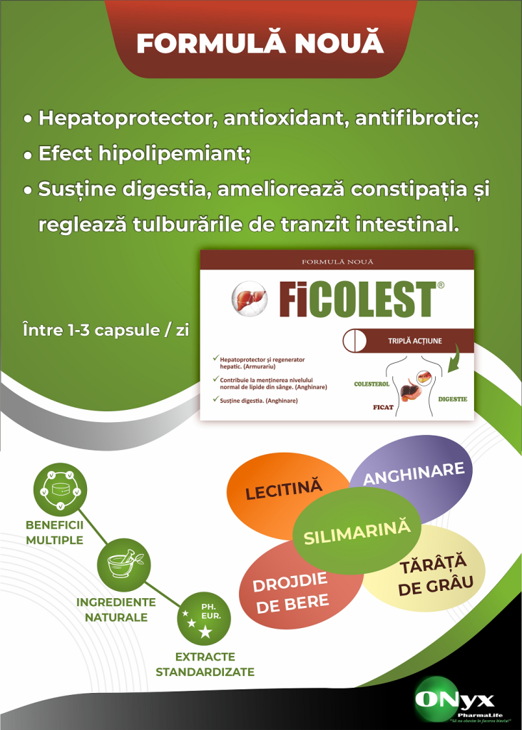 Flyer Ficolest
