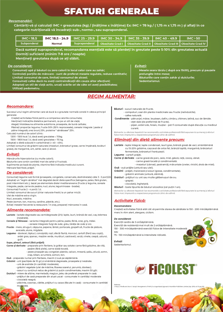 Flyer Ficolest