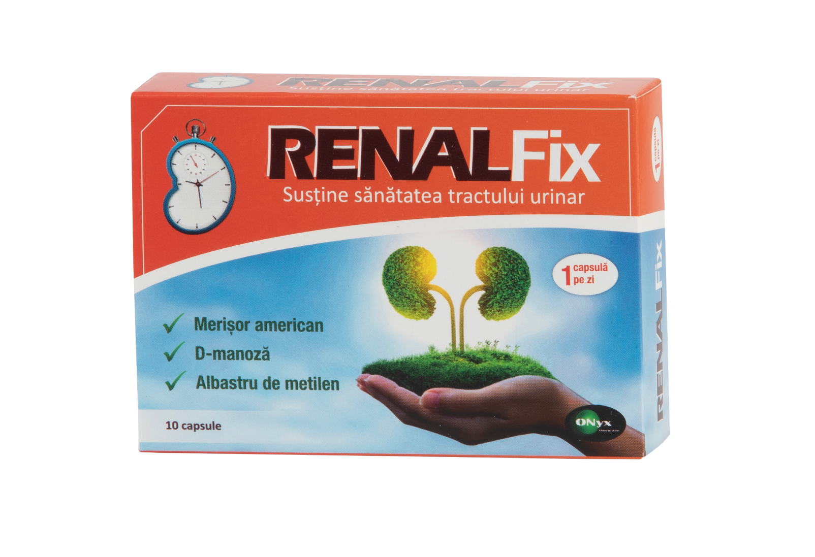 RenalFix